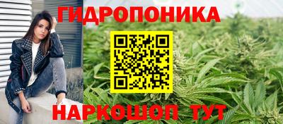 а пвп мука Кингисепп