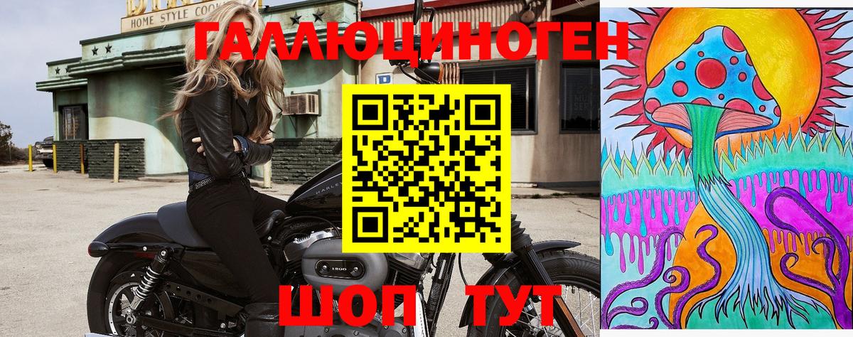 Псилоцибиновые грибы Psilocybine cubensis  Вход с VPN  Кстово 
